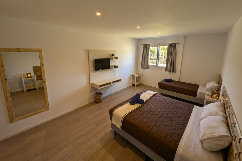 1_Delta_Habitación_Wellness