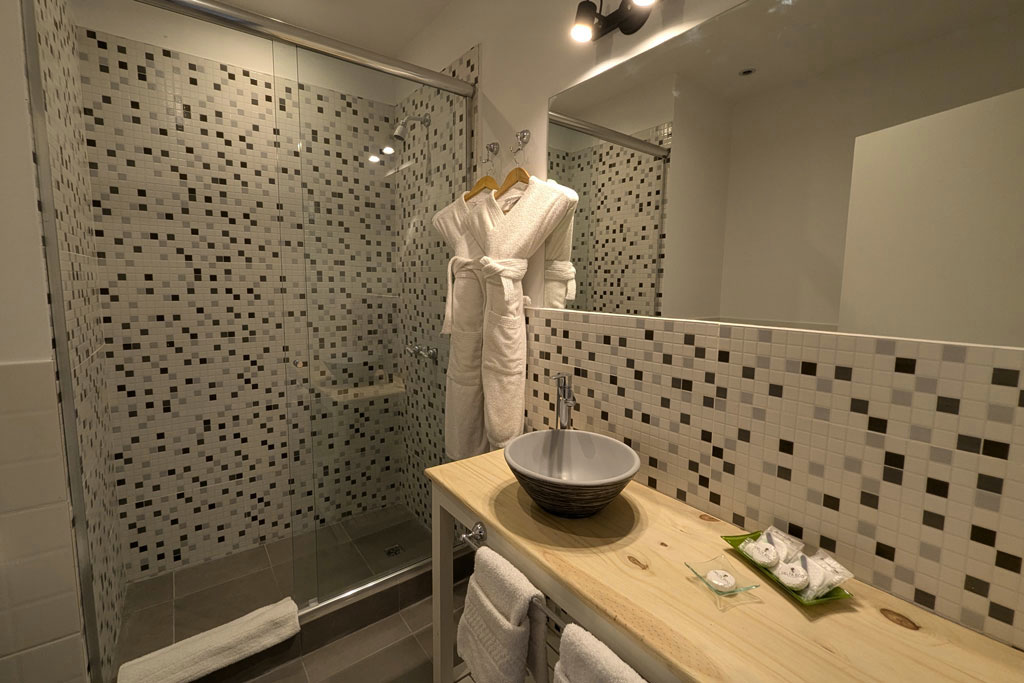 5_Delta_Habitación_Wellness