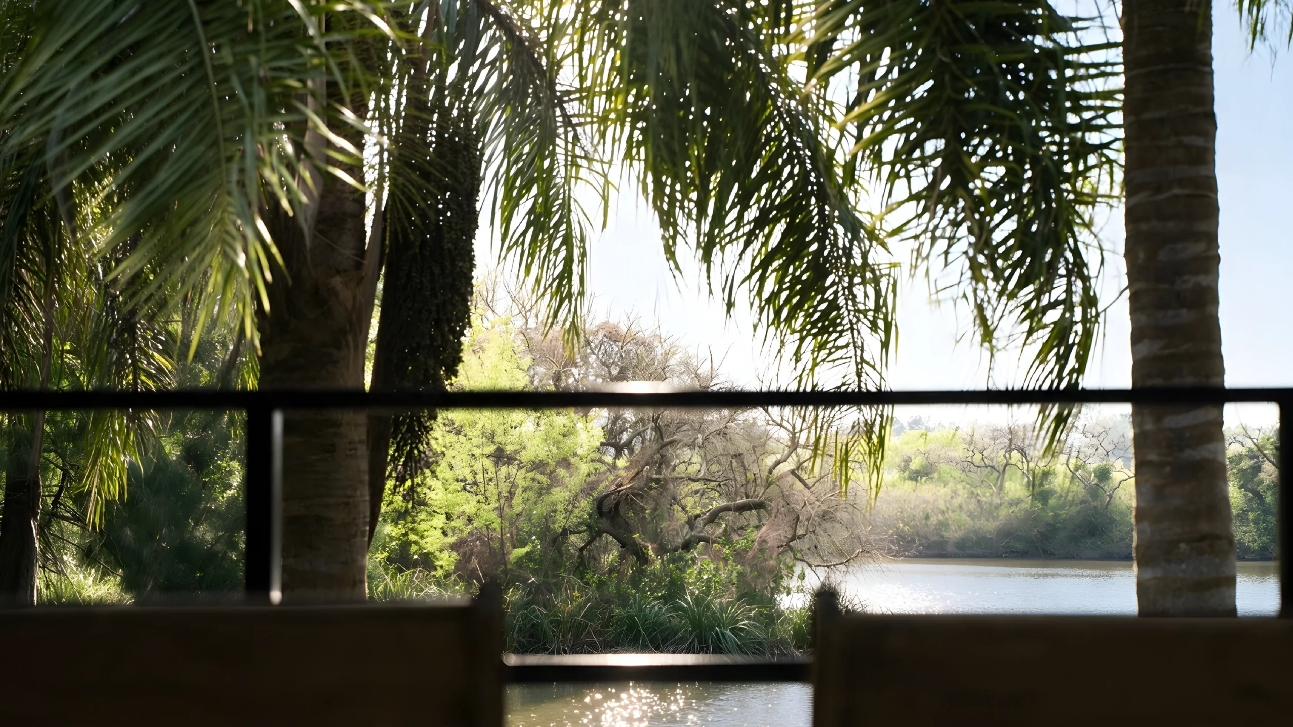 5-Vistas-Al-Exterior-Desde-Eco-Suites