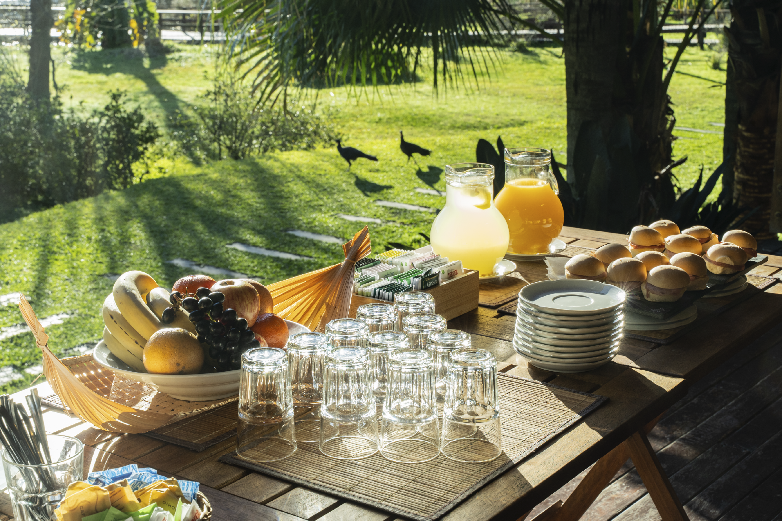 Coffee-Break-Al-Aire-Libre-Galeria-Salon-Carapachay